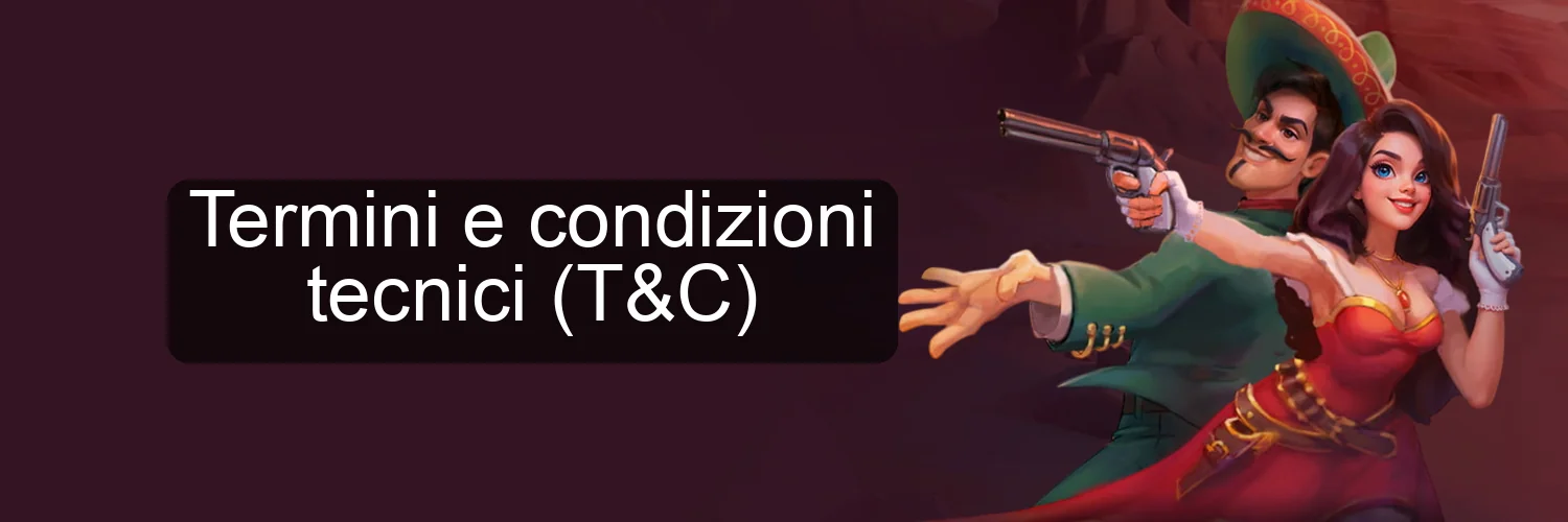Termini e condizioni tecnici (T&C)